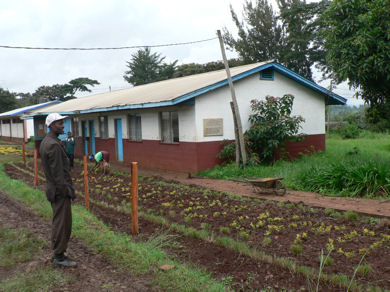 images/issue2/bethel evangelical missionary secondary school in dembi dollo.jpg